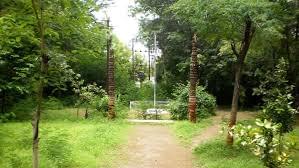 Sir Bhavsinhji Polytechnic Institute Bhavnagar Campus photo 6